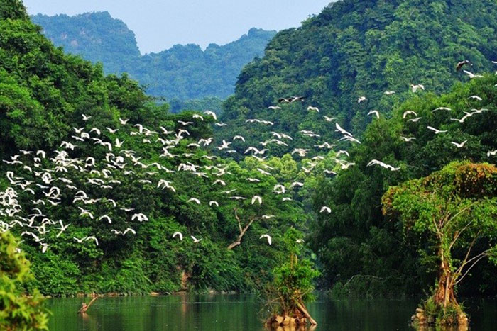 10 incontournables baie halong terrestre parc oiseaux